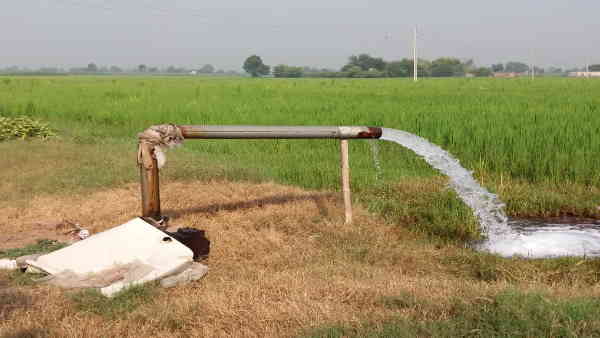 जिले में लगवाए गए सात सौ नलकूप