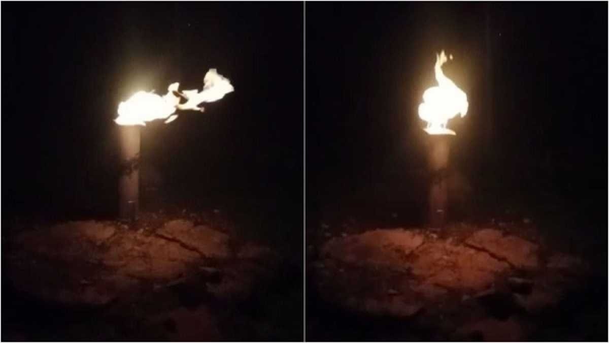 उल्दन गांव में इसी तरह का मामला सामने आया