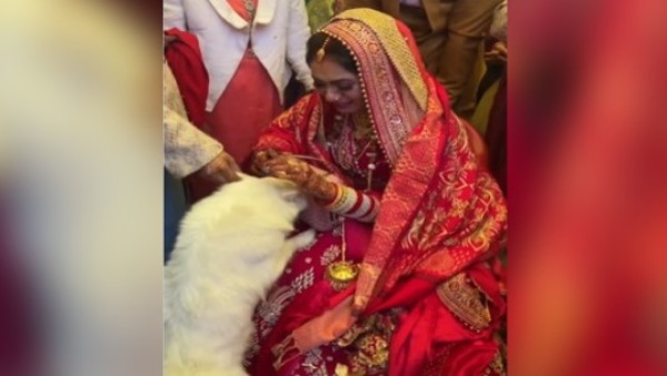 परिवार के साथ डॉगी से भी बिछड़ने का दुख