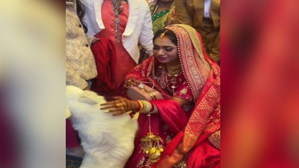 यूजर्स भी हुए इमोशनल