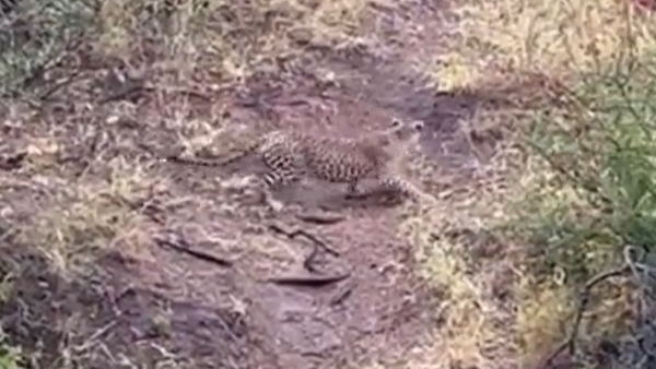 IFS ने शेयर किया वीडियो