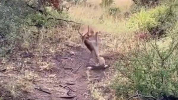 गलत दिशा में मुड़ा