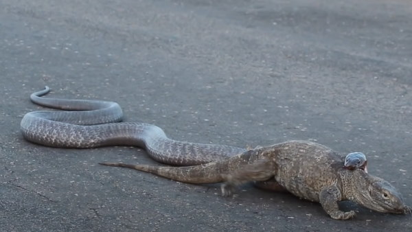 क्या हुआ अंजाम?