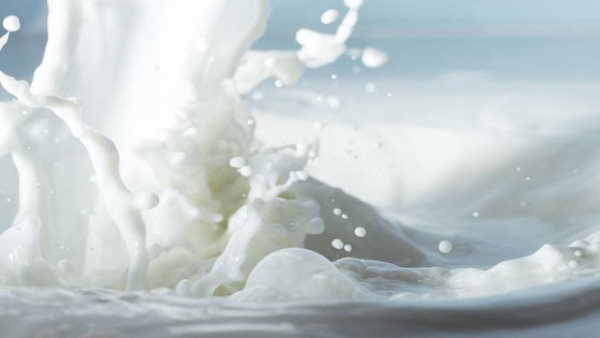  दूध उत्पादन को बढ़ावा देने के लिए सुपर गायों का 