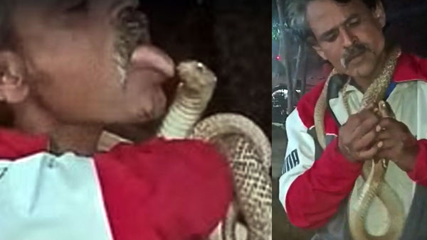 चौराहे पर सांप को लेकर करने लगा स्टंट