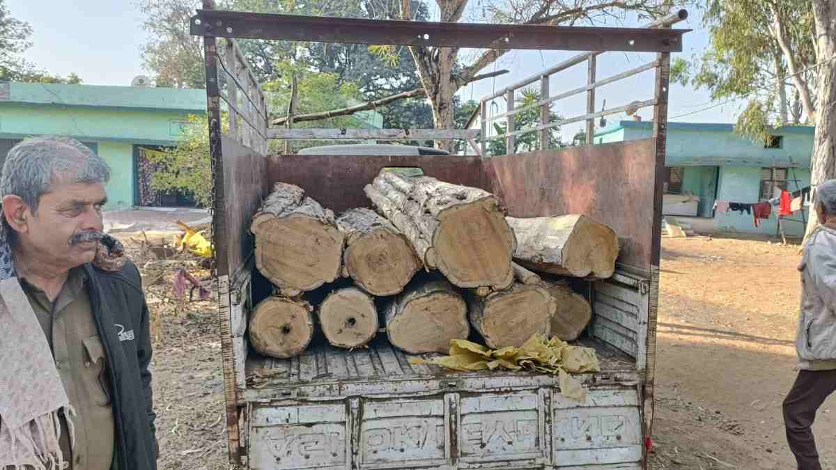 MP: 5 थानों की पुलिस ने 3 घंटे पीछा कर पकड़े सागौन के लट्ठे MP: 5 थानों की पुलिस ने 3 घंटे पीछा कर पकड़े सागौन के लट्ठे