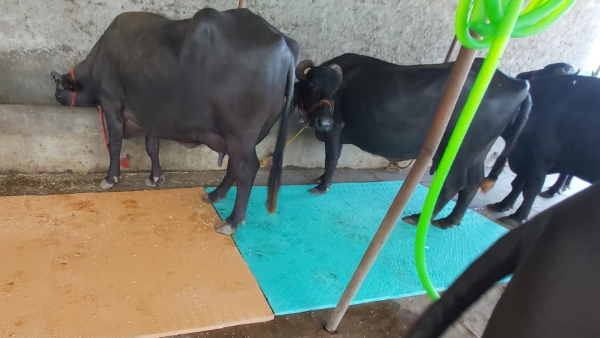 धनराज लववंशी का परिवार धनराज लववंशी का परिवार