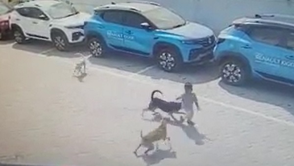 'इलाके में इस तरह की ये पहली घटना है...' 'इलाके में इस तरह की ये पहली घटना है...'