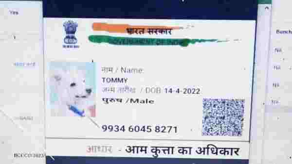 प्रूफ के तौर पर आधार कार्ड किया अटैच