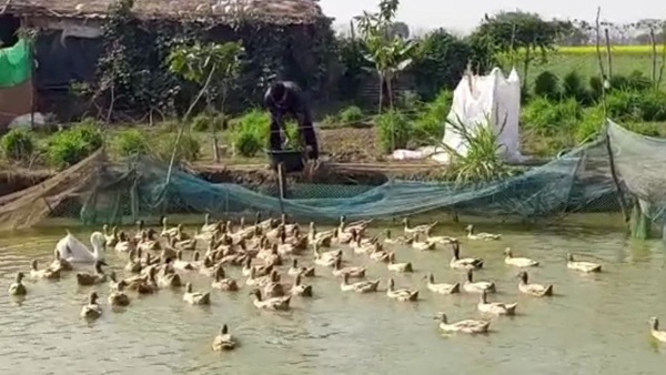 किराये पर ज़मीन लेकर की शुरुआत 