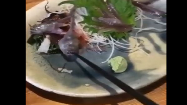 मछली ने मुंह खोलकर चॉपस्टिक को पकड़ लिया 