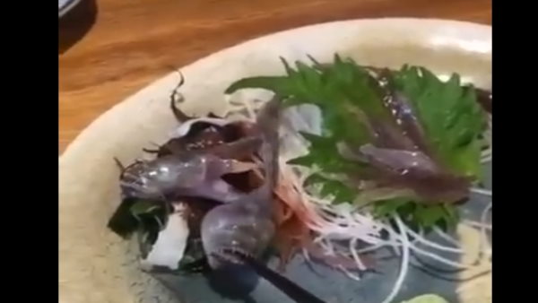 लोग कर रहे ये कमेंट 