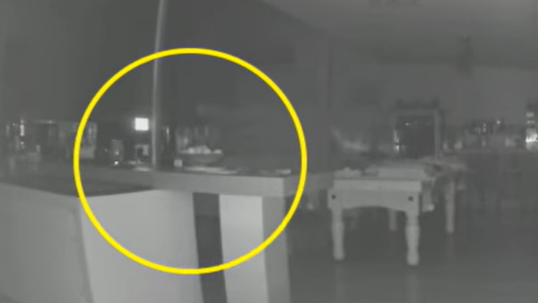 कुत्ते के साथ दिखा भूत