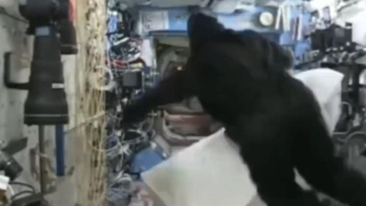 Astronaut Gorilla Suit Astronaut Gorilla Suit