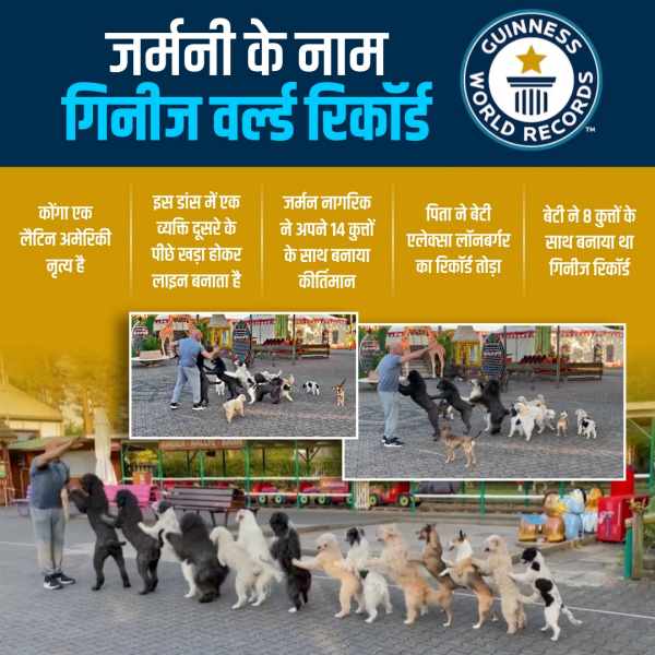 14 कुत्तों की कलाकारी, हजारों लोगों ने देखी वीडियो