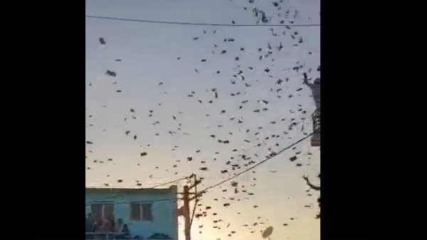 वीडियो देख लोग ले रहे मजे 