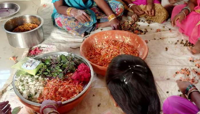 पालक, लालभाजी, हल्दी से बना रहीं गुलाल 