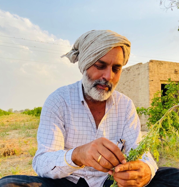 पिता की शादी नौवीं कक्षा में ही हो गई पिता की शादी नौवीं कक्षा में ही हो गई