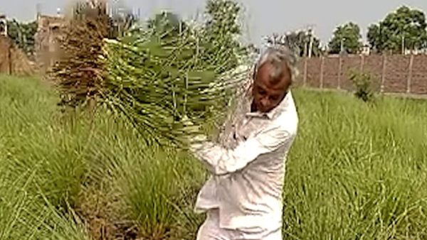 मेघराज के फैसले पर लोगों ने कसा था तंज़