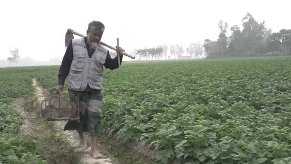 कैसे शुरू किया चूहे पकड़ना