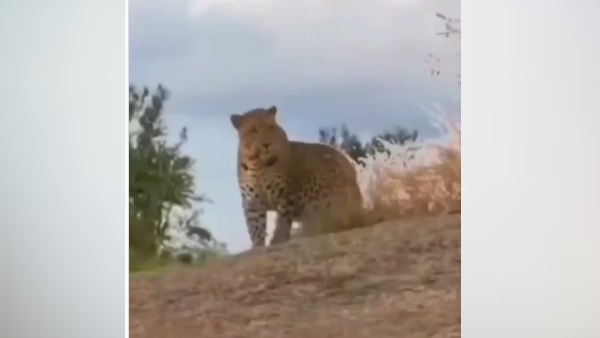 लाखों लोगों ने देखा वीडियो