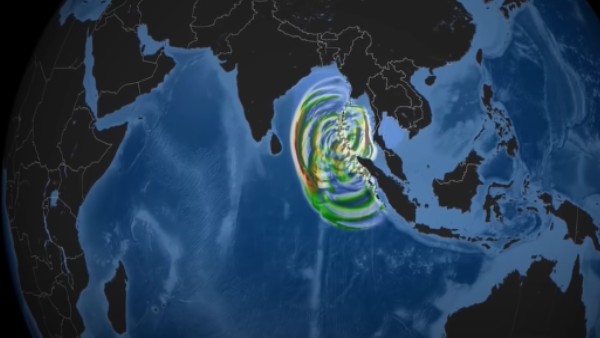 धरती पर मौजूद 75% जीव हुए खत्म