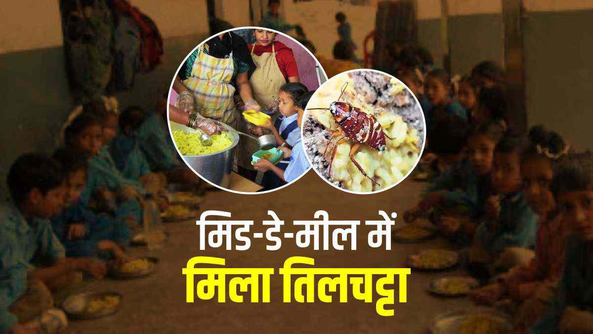 Cockroach in Mid Day Meal Cockroach in Mid Day Meal