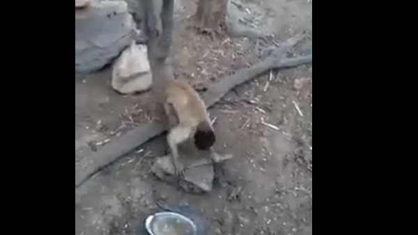 आईपीएस ने लिखा- लंका पर चढ़ाई करने की हो रही वानसेना की तैयारी 