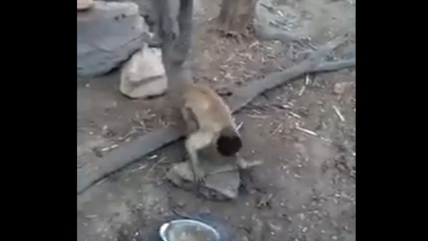  ये किसी का काम तमाम करने की तैयारी कर रहा