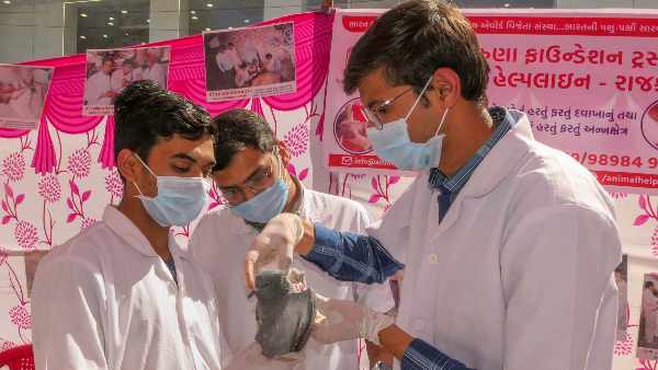 कुछ सेक्टर कर रहा है निराश