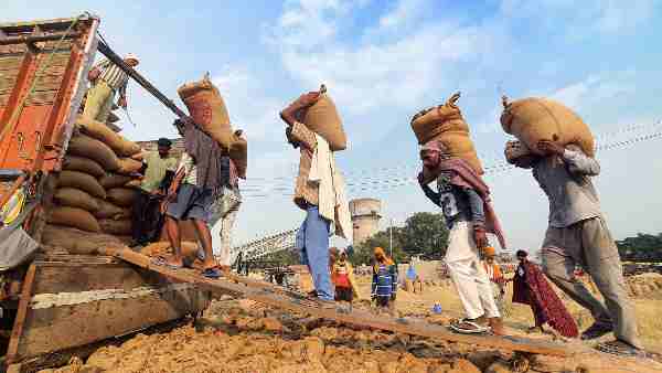 गेहूं का उत्पादन 1,121.8 लाख टन रहने का अनुमान गेहूं का उत्पादन 1,121.8 लाख टन रहने का अनुमान