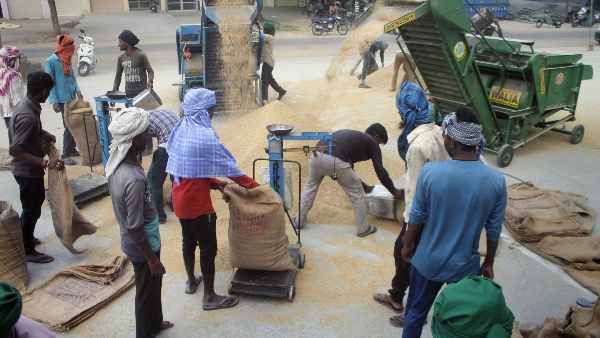 गेहूं के आटा की खुदरा कीमतें घटने की उम्मीद गेहूं के आटा की खुदरा कीमतें घटने की उम्मीद
