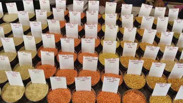 कुल 79.3 लाख टन अधिक खाद्यान्न उत्पादन का अनुमान कुल 79.3 लाख टन अधिक खाद्यान्न उत्पादन का अनुमान