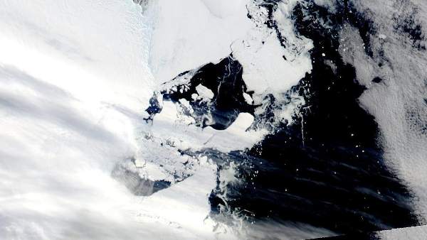 शोध में कौन लोग शामिल ? शोध में कौन लोग शामिल ?