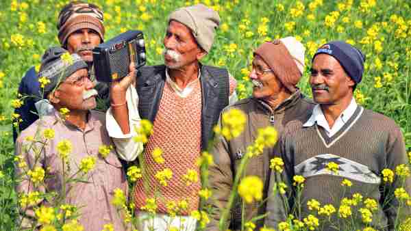 pm-kisan-pm-modi-will-release-the-13th-installment-of-more-than-rs-16-800-crore-on-monday