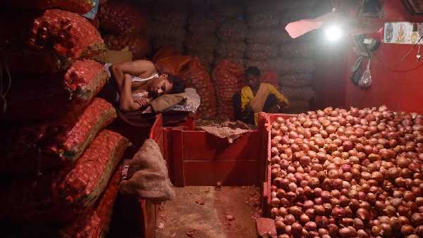 कांग्रेस ने 2 रुपए किलो प्याज बिकने का किया है दावा कांग्रेस ने 2 रुपए किलो प्याज बिकने का किया है दावा