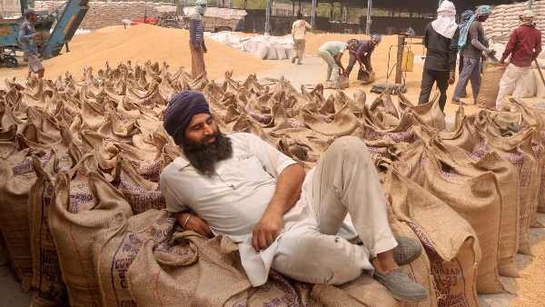 सरकारी आटा औसतन 9 रुपए किलो सस्ता होगा सरकारी आटा औसतन 9 रुपए किलो सस्ता होगा