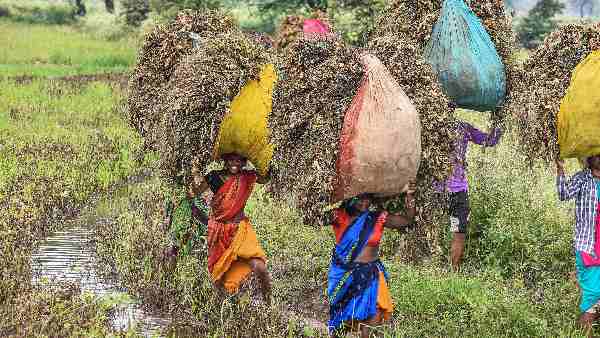 'अब कोई भी गर्भावस्था नहीं झेल सकती जानकी'