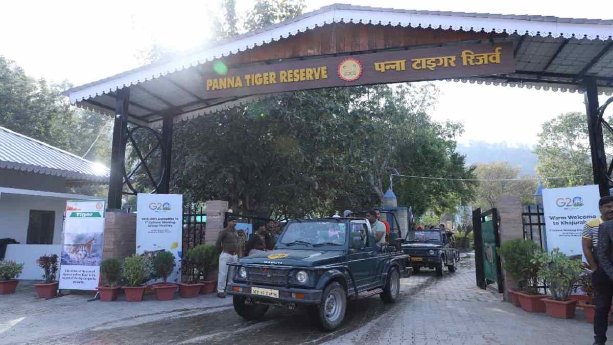 Panna: टाइगर सफारी का आनंद लेने पहुंचे जी-20 में आए विदेशी मेहमान
