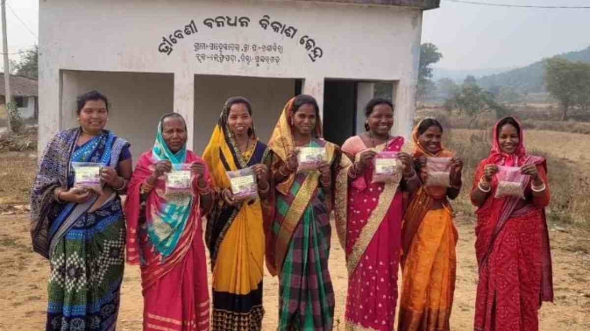 Brown Rice Brown Rice