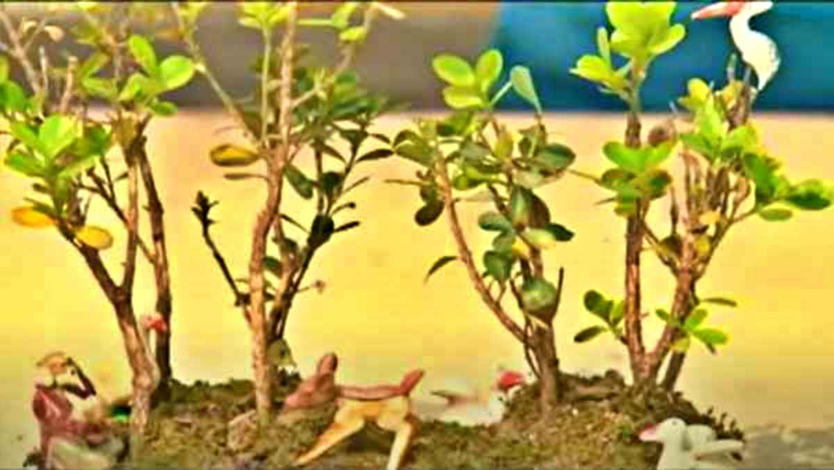 human-elephant conflict