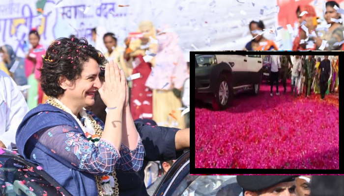 सीडब्लूसी का चुनाव नहीं होगा