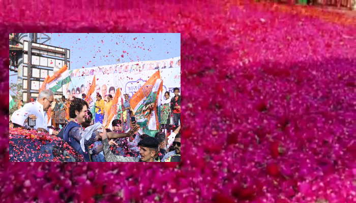  सड़क पर बिछा दिए 20 टन गुलाब के फूल