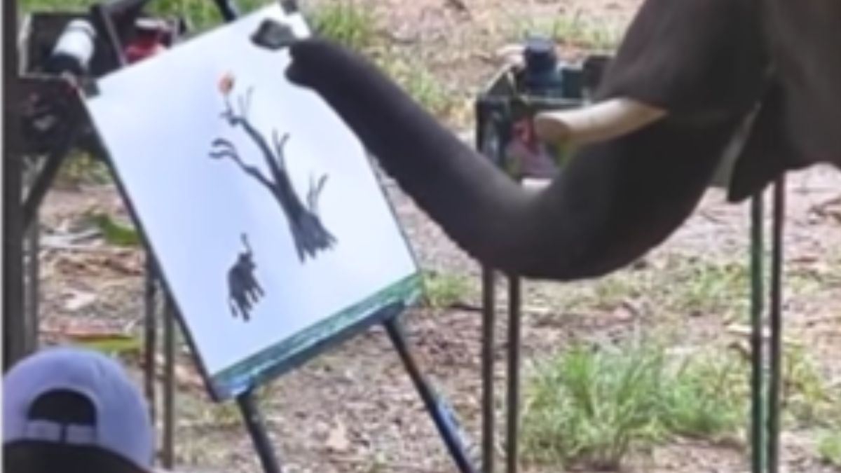 'ये है पेंटर हाथी'