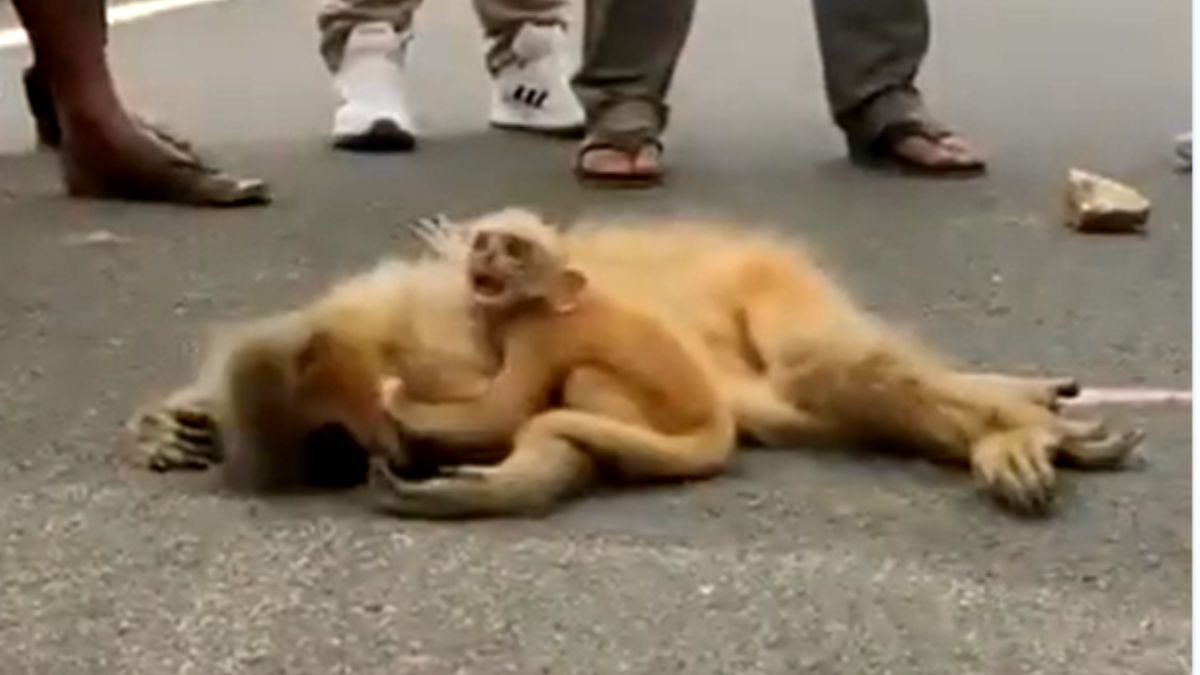 'वीडियो ने किए मेरे दिल के टुकड़े'