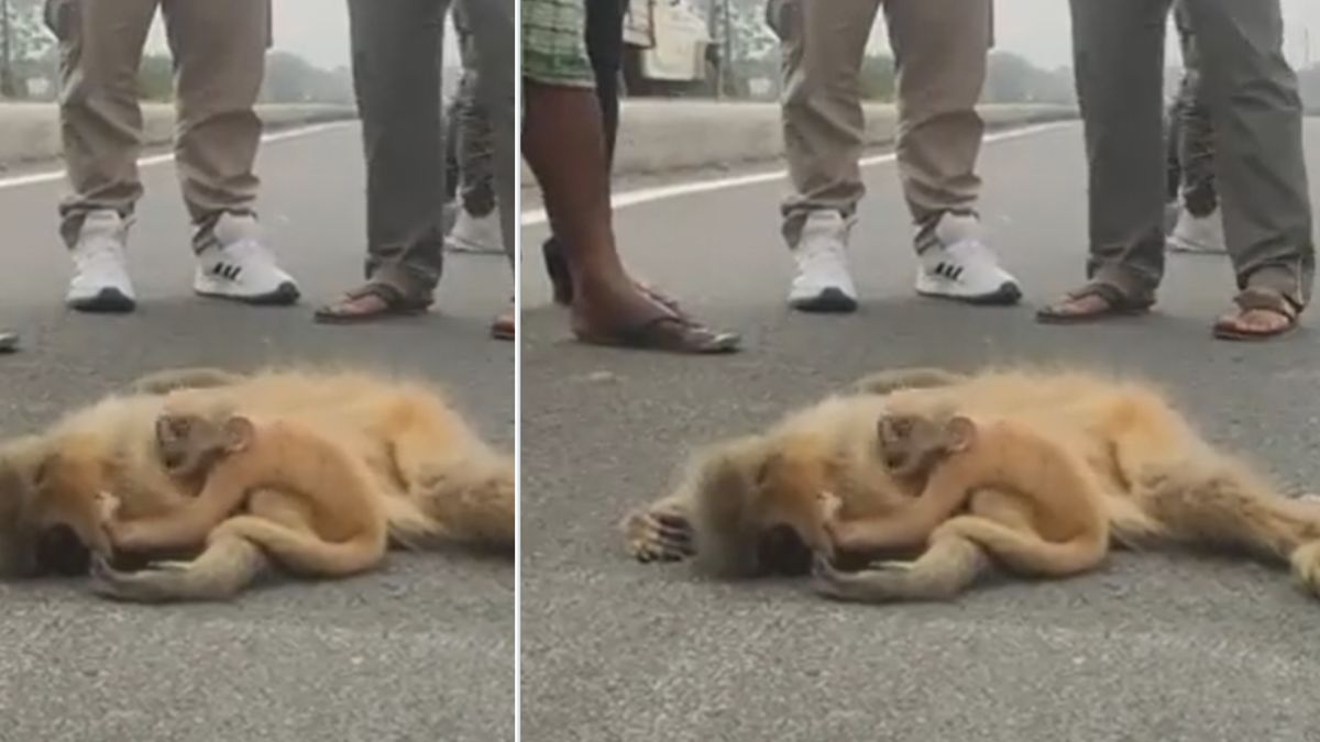 बच्चे ने जोर से पकड़ा मां का मुंह