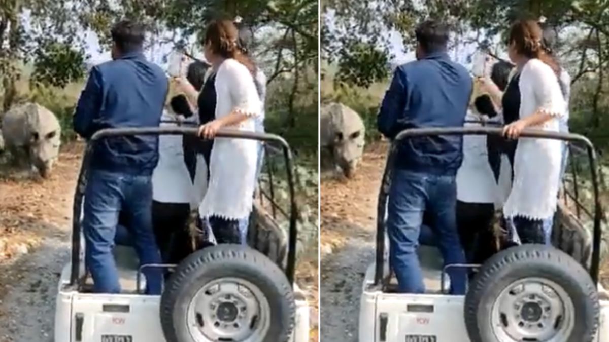 बंगाल के पार्क का है वीडियो