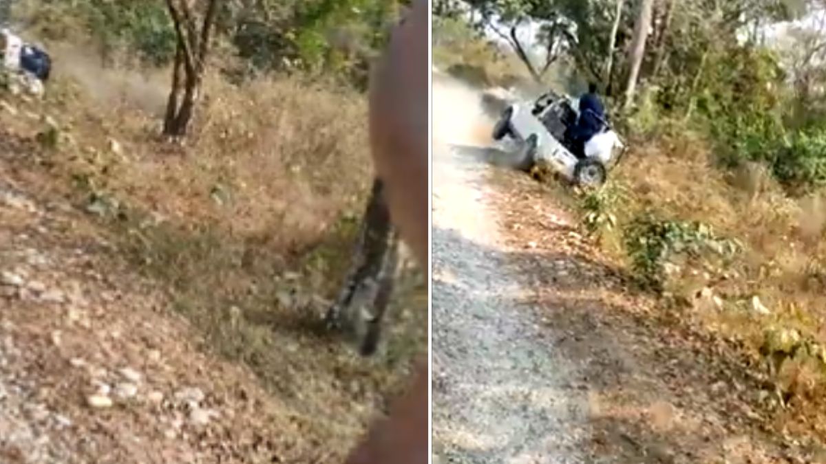 'अच्छा हुआ टाइगर नहीं था'