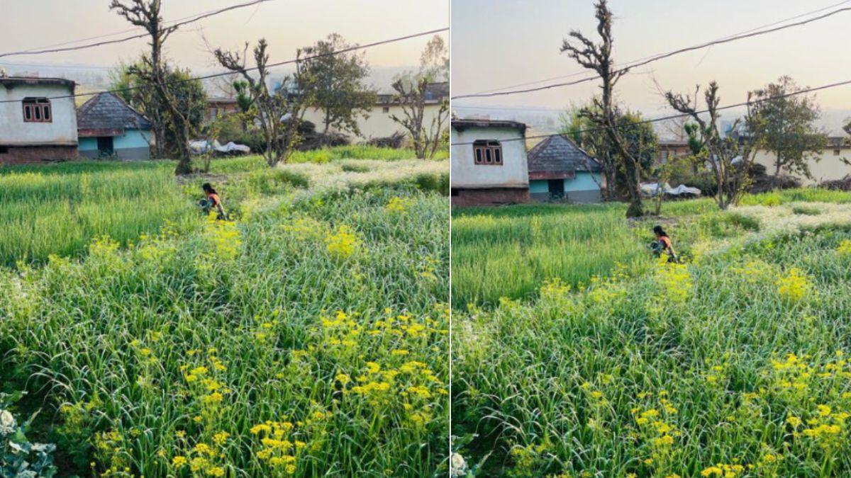 'ये मेरी मां.. मेरी वजह से अमीर नहीं'