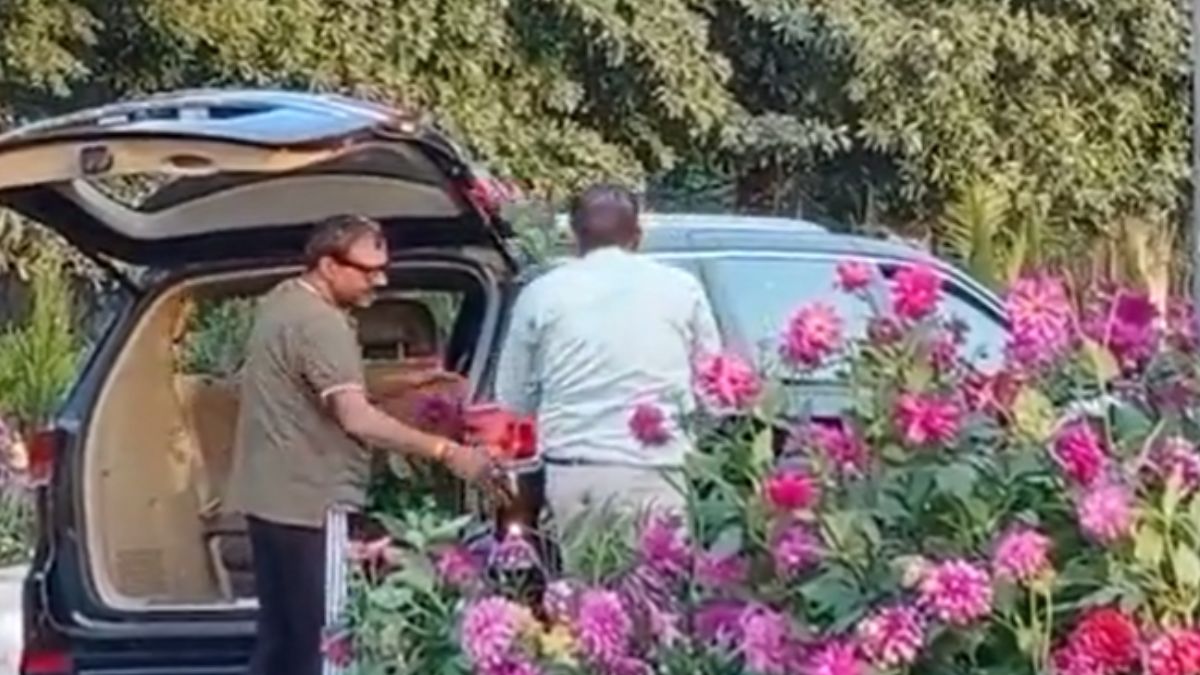 फूलों के गमले उठा ले गए चोर